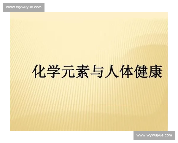 全面解析人体各系统机能提升与健康维护方法
