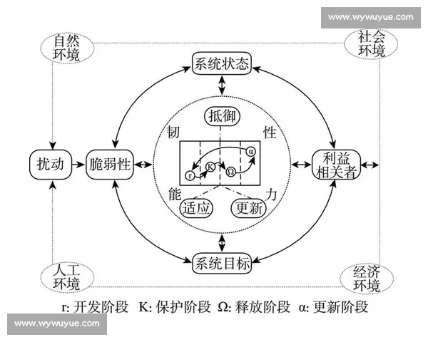 以持续能力为核心驱动的组织韧性构建与长期价值创造路径探索