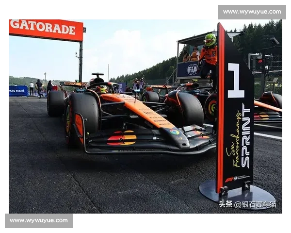 F1排位赛全解析：速度与策略的较量幕后揭秘